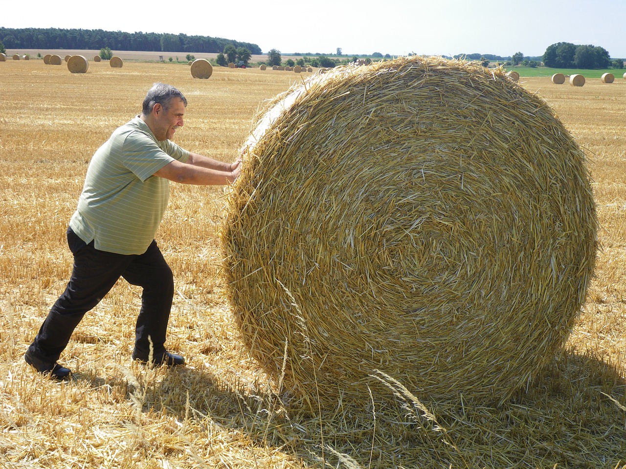 7 strategija za preživljavanje na poslu koji mrzite i pripremu za dati otkaz